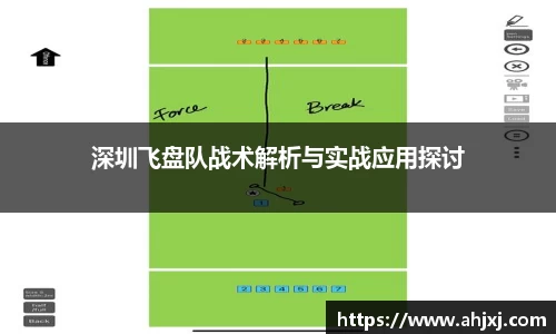 深圳飞盘队战术解析与实战应用探讨