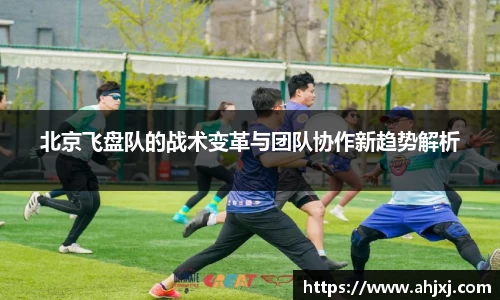 北京飞盘队的战术变革与团队协作新趋势解析
