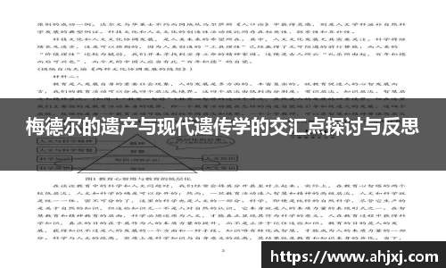 jinnian金年会官网
